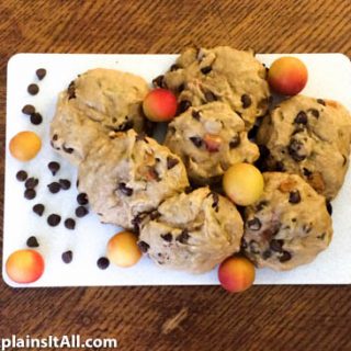 Check out my recipe for Plum-Cherry Chocolate Chip Cakies on my blog!