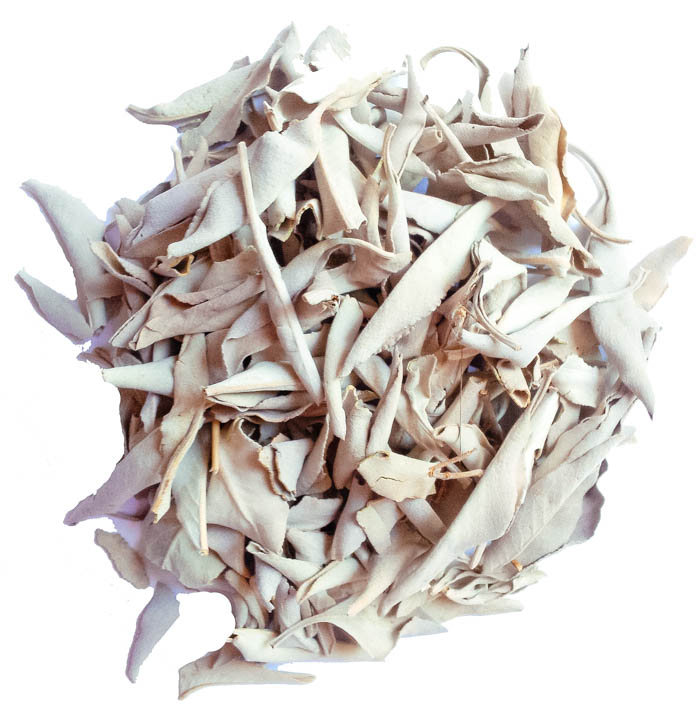 A pile of white sage leaves.